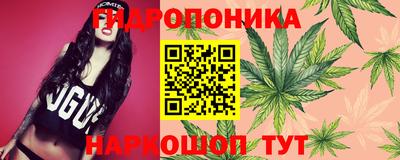 PSILOCYBIN Кандалакша