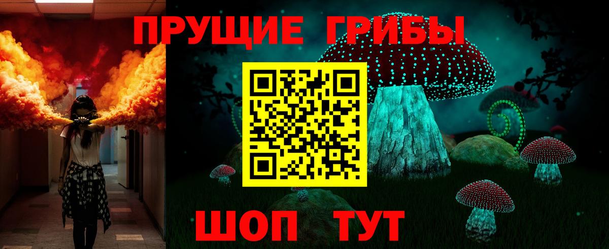 Галлюциногенные грибы Psilocybe Кстово